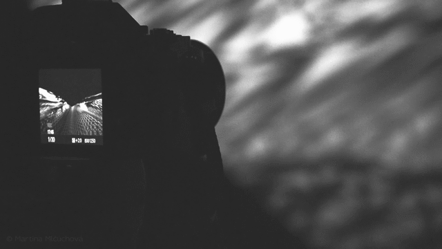 Flixel Cinemagraph