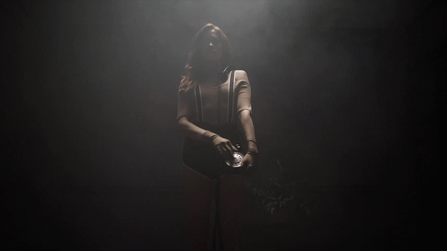 Flixel Cinemagraph
