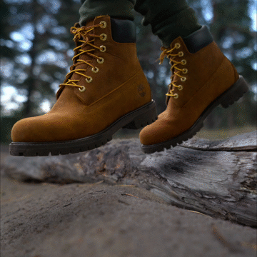 Flixel Cinemagraph