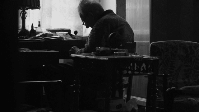 Flixel Cinemagraph