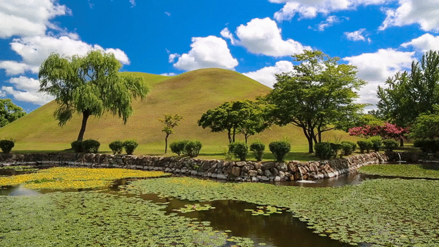 Flixel Cinemagraph