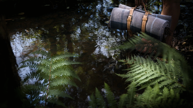 Flixel Cinemagraph