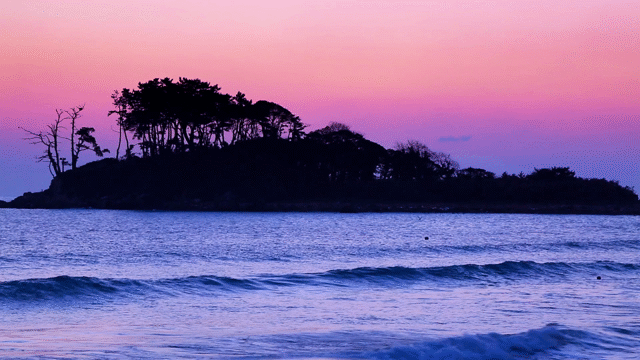 Flixel Cinemagraph