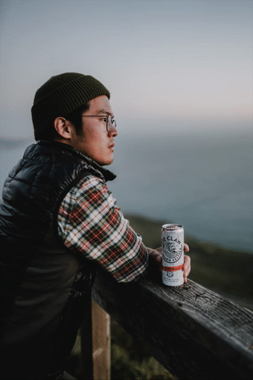 Flixel Cinemagraph
