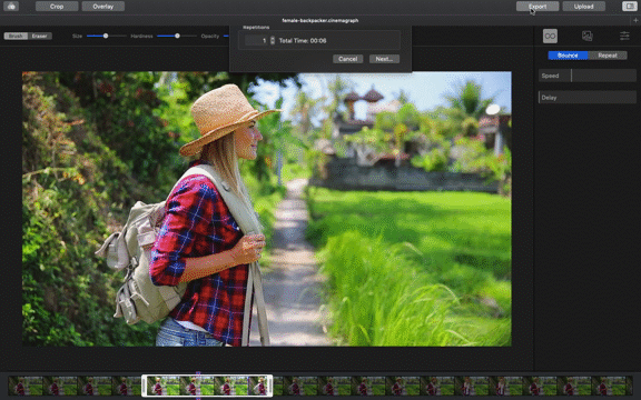 Flixel Cinemagraph