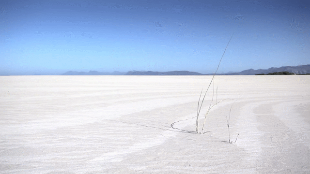 Flixel Cinemagraph