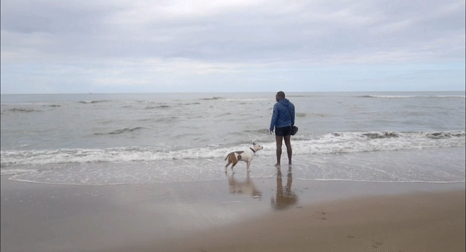 Flixel Cinemagraph