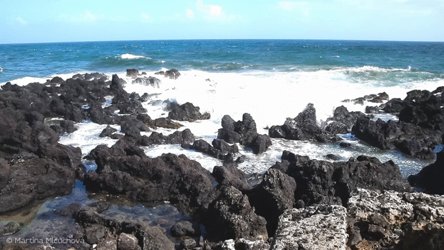 Flixel Cinemagraph