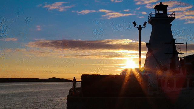 Flixel Cinemagraph