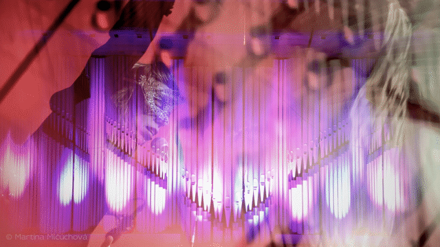 Flixel Cinemagraph