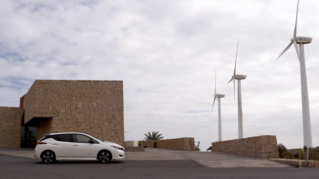 Flixel Cinemagraph