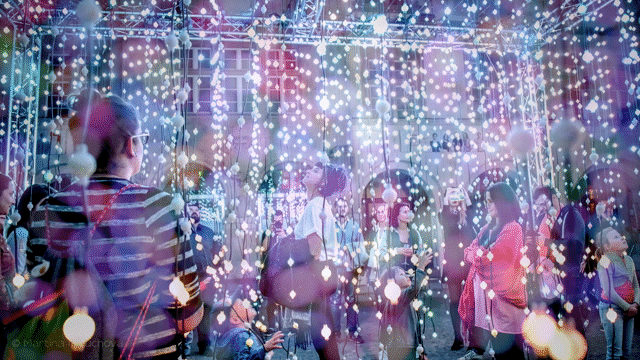 Flixel Cinemagraph