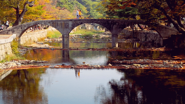 Flixel Cinemagraph