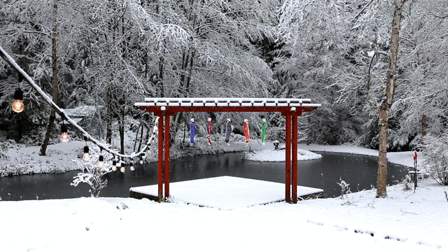 Flixel Cinemagraph