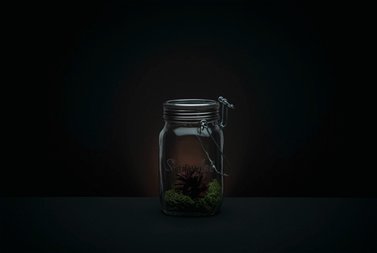 Flixel Cinemagraph