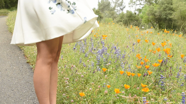 Flixel Cinemagraph