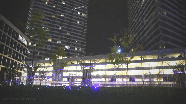 Flixel Cinemagraph