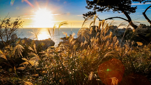 Flixel Cinemagraph