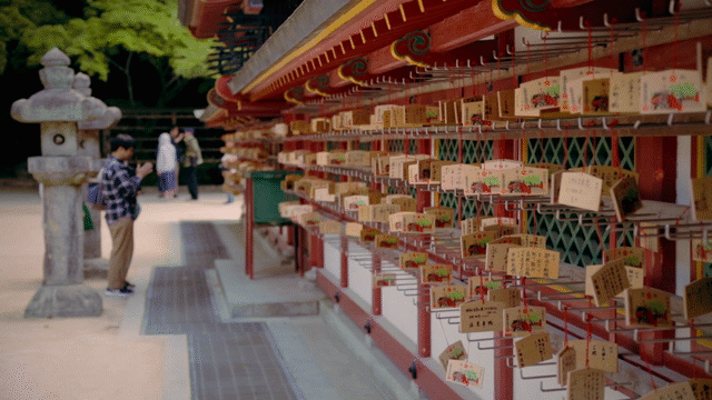 Flixel Cinemagraph