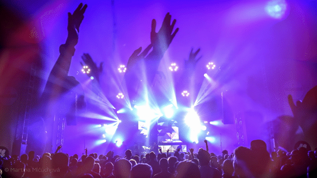 Flixel Cinemagraph