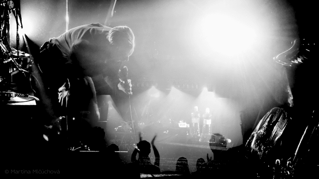Flixel Cinemagraph