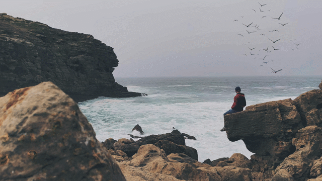 Flixel Cinemagraph