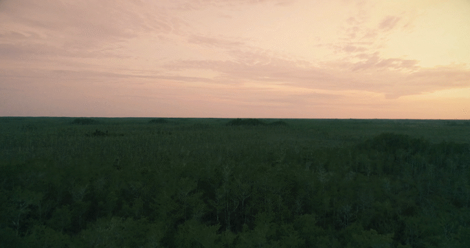 Flixel Cinemagraph