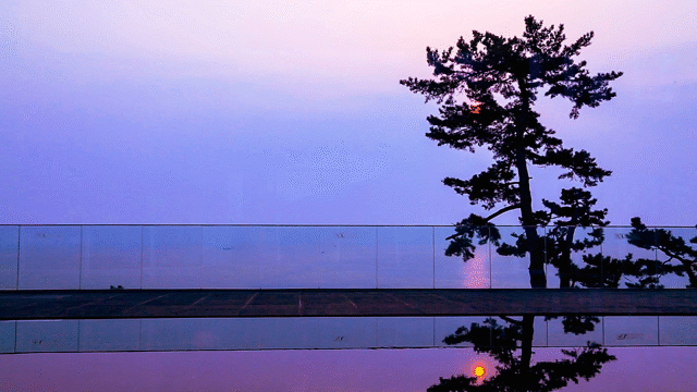Flixel Cinemagraph