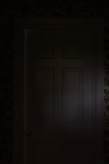 Flixel Cinemagraph