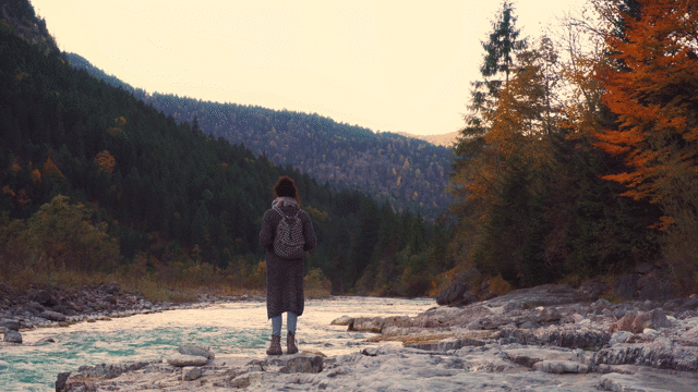 Flixel Cinemagraph