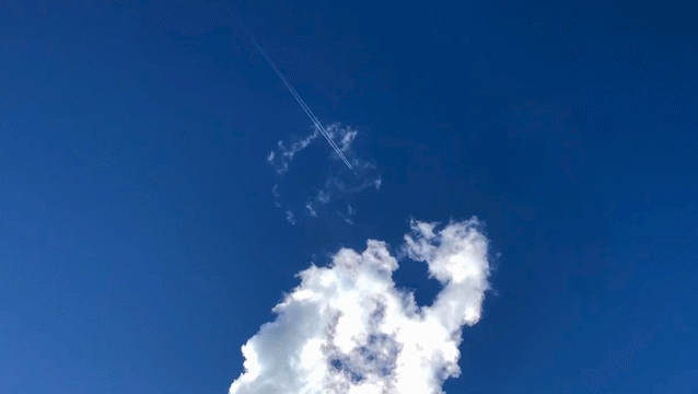 Flixel Cinemagraph