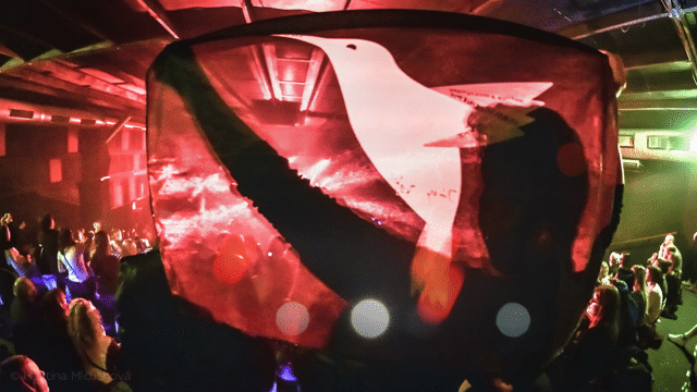 Flixel Cinemagraph