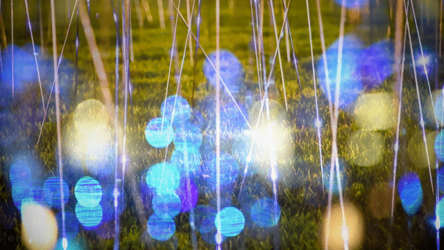 Flixel Cinemagraph