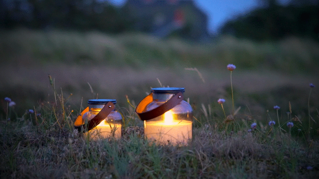 Flixel Cinemagraph