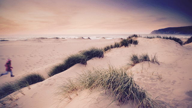 Flixel Cinemagraph