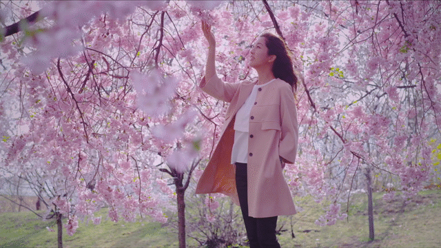 Flixel Cinemagraph