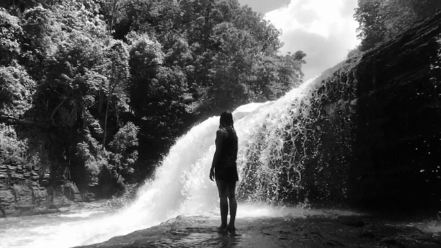 Flixel Cinemagraph