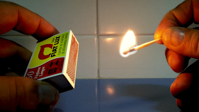 Flixel Cinemagraph