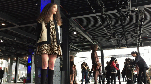 Flixel Cinemagraph