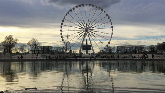 Flixel Cinemagraph