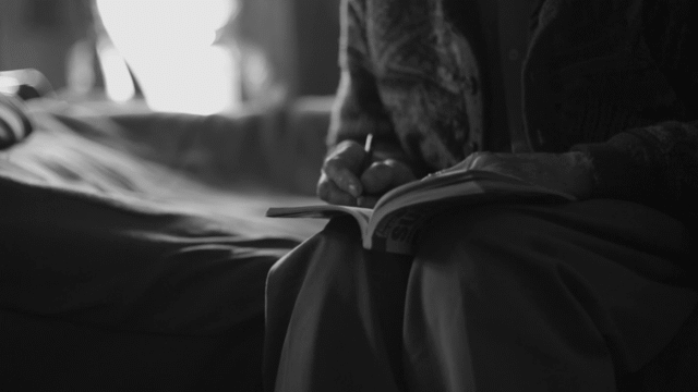 Flixel Cinemagraph