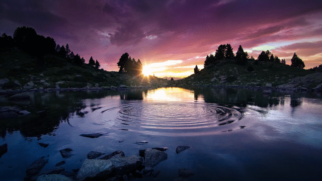 Flixel Cinemagraph