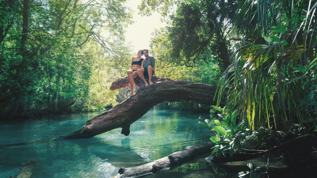 Flixel Cinemagraph