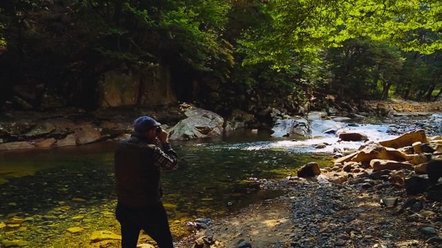Flixel Cinemagraph