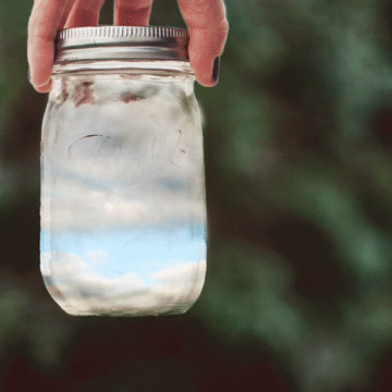 Flixel Cinemagraph