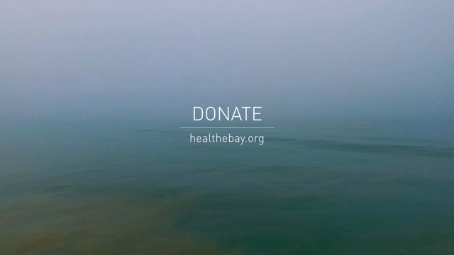Flixel Cinemagraph