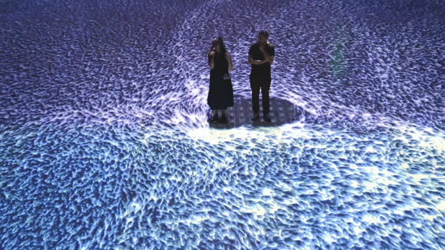 Flixel Cinemagraph