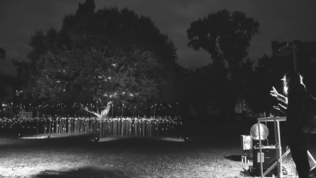 Flixel Cinemagraph