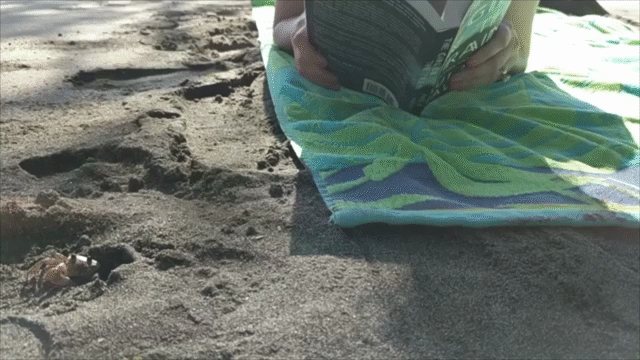 Flixel Cinemagraph