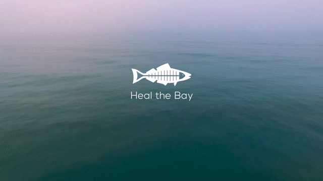 Flixel Cinemagraph